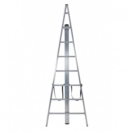 Gierre Trittika, aluminium ladder for agriculture, 6 rungs, 100 kgs max load