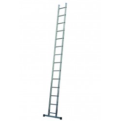 Single Professional Ladders...