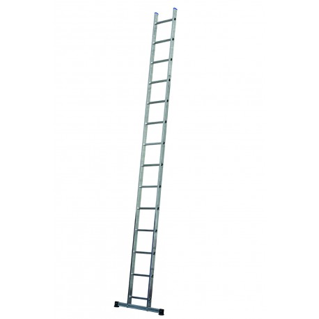 Single Professional Ladders