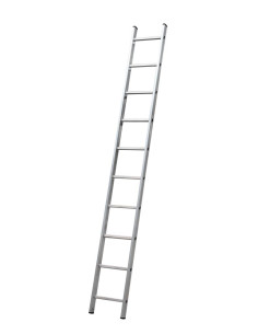 Single Ladderds - 10