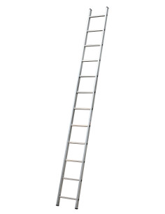 Single Ladderds - 12