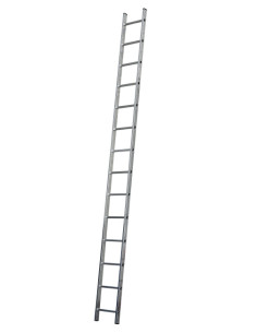 Single Ladderds - 14