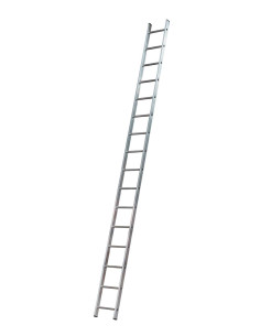 Single Ladderds - 16