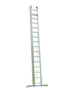 Double ladders with...