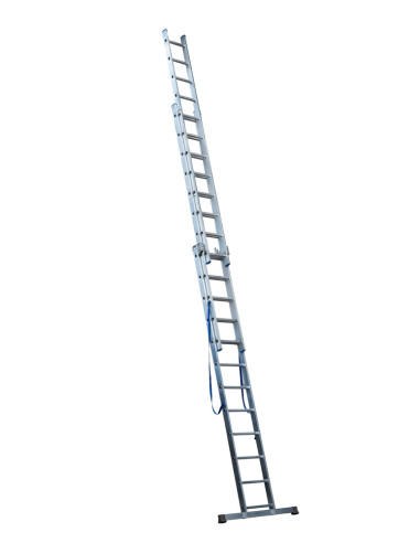 Professional triple convertible ladder
