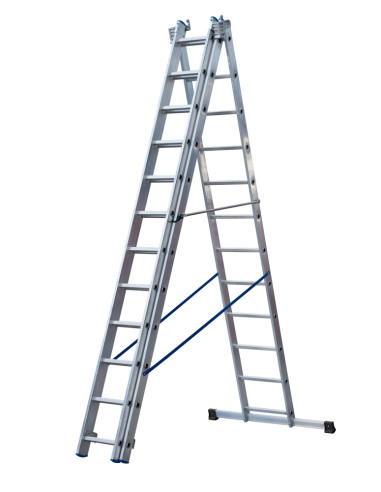 Professional triple convertible ladder